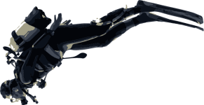 Image of a Human