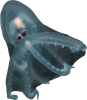 Image of a Telescope Octopus